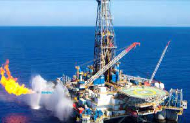 La pêche face à l’exploitation du pétrole : Pourquoi les acteurs de l'association Sanzala vision mareyeur ne dorment plus… La pêche face à l’exploitation du pétrole : Pourquoi les acteurs de l'association Sanzala vision mareyeur ne dorment plus…