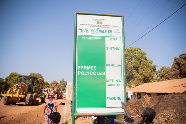 TOURNÉE ÉCONOMIQUE À SÉDHIOU, LE PM AMADOU BA ACTIVE LES LEVIERS DE DÉVELOPPEMENT TOURNÉE ÉCONOMIQUE À SÉDHIOU, LE PM AMADOU BA ACTIVE LES LEVIERS DE DÉVELOPPEMENT