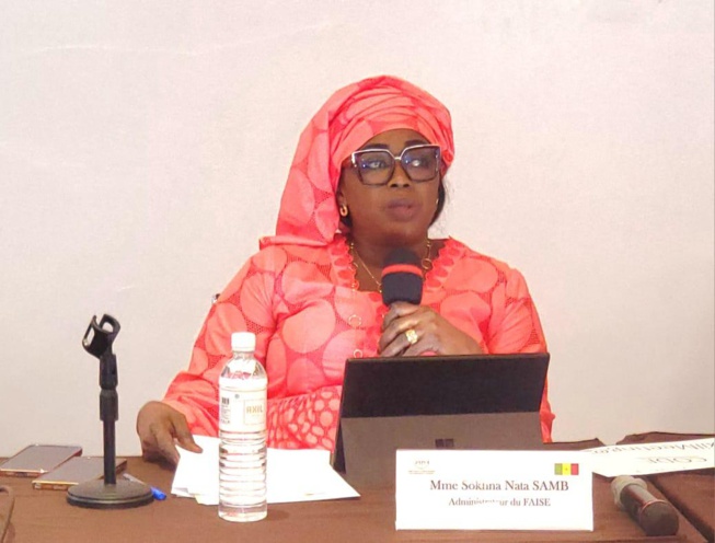 DIASPORA : Le FAISE forme ses bénéficiaires DIASPORA : Le FAISE forme ses bénéficiaires