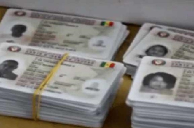 Retrait des cartes issues de la dernière révision : une faible affluence des électeurs Retrait des cartes issues de la dernière révision : une faible affluence des électeurs