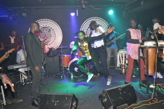 21 Images: Pape Diouf draine du monde et impose sa force de monopoliser le spectacle au Baramundi. Regardez 21 Images: Pape Diouf draine du monde et impose sa force de monopoliser le spectacle au Baramundi. Regardez