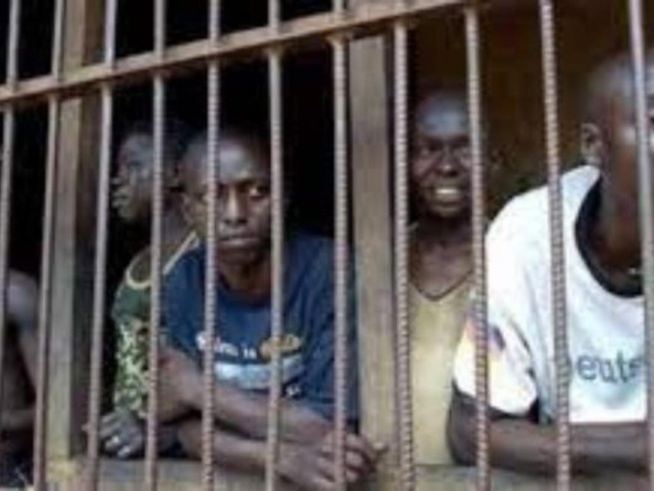 Mac de Ziguinchor: Plus de 70 détenus en grève de la faim, ce lundi Mac de Ziguinchor: Plus de 70 détenus en grève de la faim, ce lundi