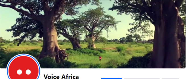 Communication du Groupe Sonatel Orange: L'Agence VOICE AFRICA avec son expertise avérée, prend les commandes Communication du Groupe Sonatel Orange: L'Agence VOICE AFRICA avec son expertise avérée, prend les commandes