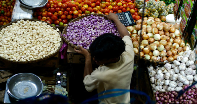 Vision économique de la Coalition Diomaye Faye : En route vers un secteur primaire garant d’une sécurité alimentaire et générateur de devises Vision économique de la Coalition Diomaye Faye : En route vers un secteur primaire garant d’une sécurité alimentaire et générateur de devises