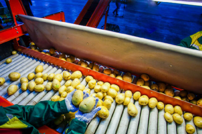 Kolda, Vélingara et Diaobe : Aliou Mamadou Dia y promet l'implantation d'une usine de transformation des fruits Kolda, Vélingara et Diaobe : Aliou Mamadou Dia y promet l'implantation d'une usine de transformation des fruits