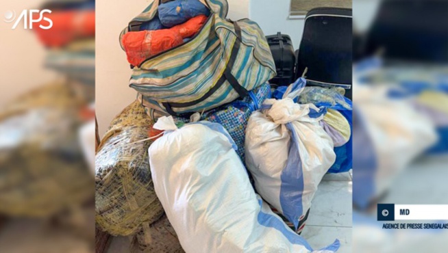 Lutte contre le trafic illicite : Plusieurs produits prohibés saisis par les services des Douanes Lutte contre le trafic illicite : Plusieurs produits prohibés saisis par les services des Douanes