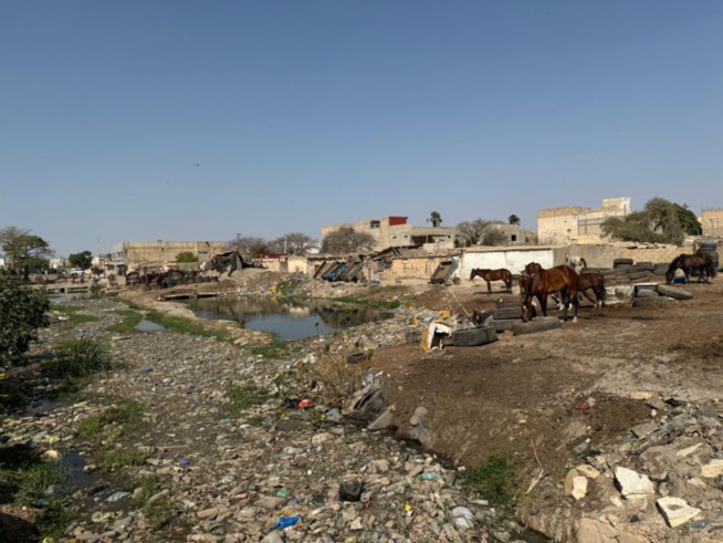 Rufisque: Le nouveau Préfet Abdou Khadir Diop s'engage pour l'amélioration de l'environnement