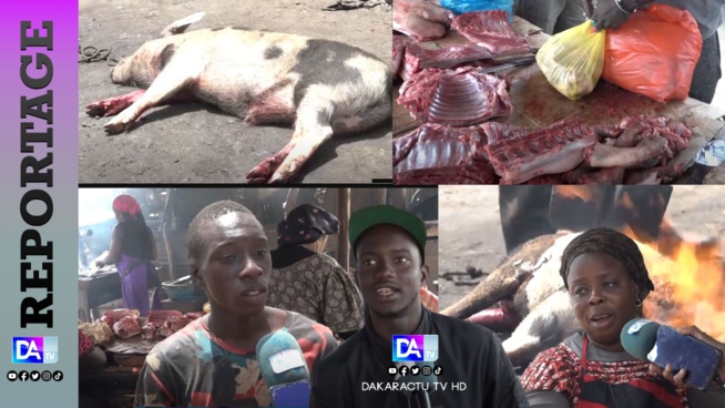 Fête de Pâques: La vente du porc préoccupe les vendeurs du marché Bignona de Grand-Yoff... Fête de Pâques: La vente du porc préoccupe les vendeurs du marché Bignona de Grand-Yoff...