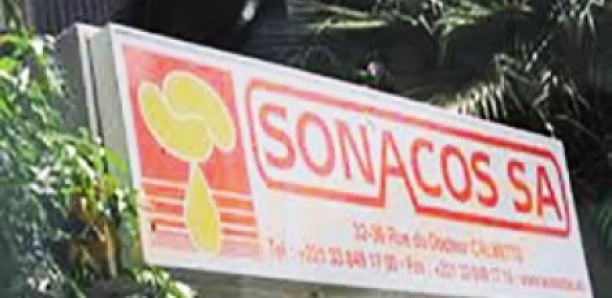 Sonacos : onze nominations qui font polémique Sonacos : onze nominations qui font polémique