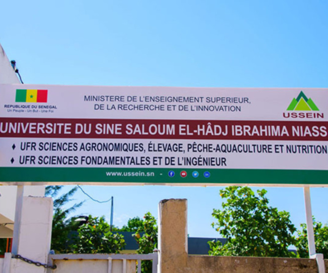 Université El hadji Ibrahima Niass de Kaolack : La colère des étudiants en Machinisme de l’Ussein Université El hadji Ibrahima Niass de Kaolack : La colère des étudiants en Machinisme de l’Ussein