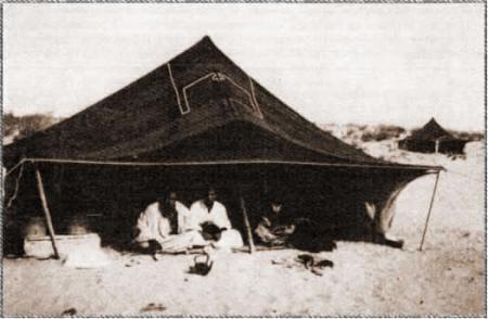 Cheikh Hamallah, un distingué guide de la Tidjaniya