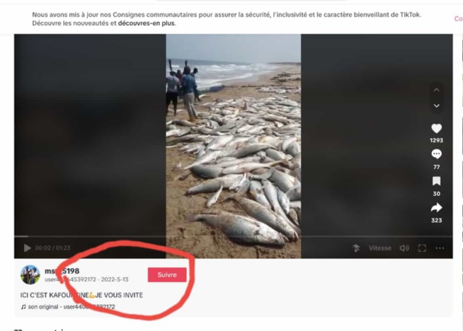 Fake News : Partage de vidéos pour démontrer l'efficacité de "l'annulation des accords de pêche", mais y a anguilles sous roches….