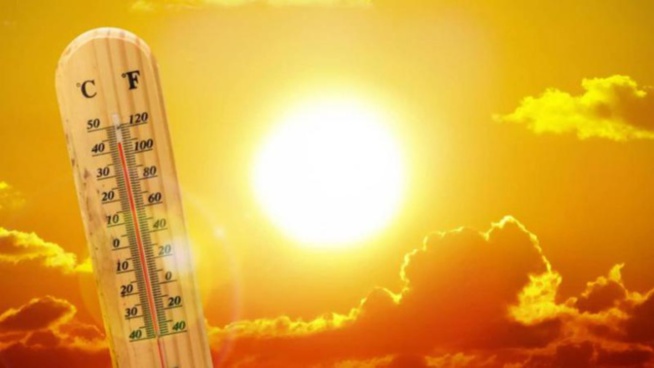 Une forte canicule attendue dans sept régions du pays Une forte canicule attendue dans sept régions du pays