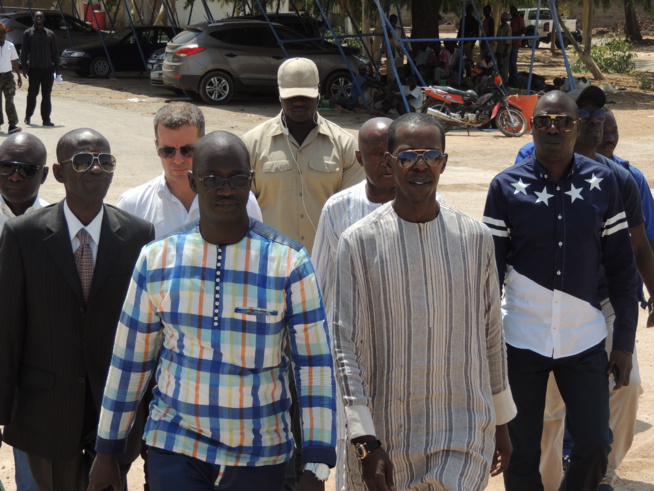 Qui sont ces abeilles qui polluent l’atmosphère de Cheikh Amar? Qui sont ces abeilles qui polluent l’atmosphère de Cheikh Amar?