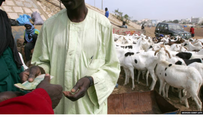Cherté persistante de la vie : La Tabaski s’annonce difficile pour les Gorgorlou Cherté persistante de la vie : La Tabaski s’annonce difficile pour les Gorgorlou