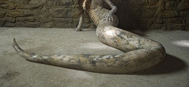 Cameroun: Une femme accusée de se transformer en serpent promet la mort aux populations de Mbang Cameroun: Une femme accusée de se transformer en serpent promet la mort aux populations de Mbang