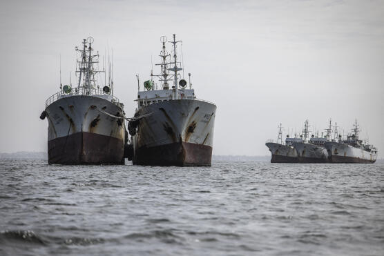 Au Sénégal, les nouvelles autorités face au défi de la régulation de la pêche Au Sénégal, les nouvelles autorités face au défi de la régulation de la pêche