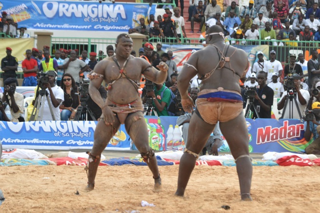 Revivez les images du combat Bombardier Modou Lo comptant pour le drapeau Pape Ndiaye le couturier des chefs d'Etats Revivez les images du combat Bombardier Modou Lo comptant pour le drapeau Pape Ndiaye le couturier des chefs d'Etats