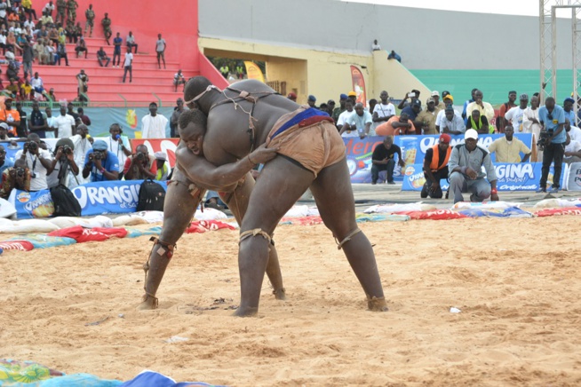 Revivez les images du combat Bombardier Modou Lo comptant pour le drapeau Pape Ndiaye le couturier des chefs d'Etats Revivez les images du combat Bombardier Modou Lo comptant pour le drapeau Pape Ndiaye le couturier des chefs d'Etats