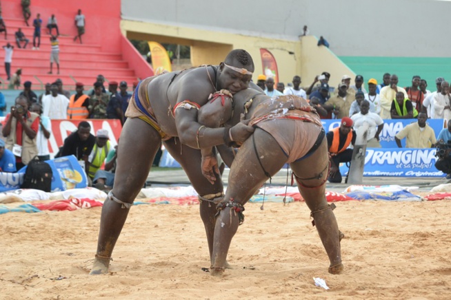 Revivez les images du combat Bombardier Modou Lo comptant pour le drapeau Pape Ndiaye le couturier des chefs d'Etats Revivez les images du combat Bombardier Modou Lo comptant pour le drapeau Pape Ndiaye le couturier des chefs d'Etats