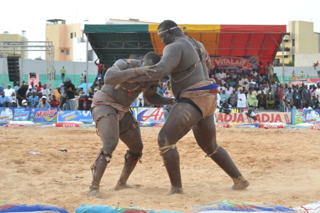Revivez les images du combat Bombardier Modou Lo comptant pour le drapeau Pape Ndiaye le couturier des chefs d'Etats Revivez les images du combat Bombardier Modou Lo comptant pour le drapeau Pape Ndiaye le couturier des chefs d'Etats