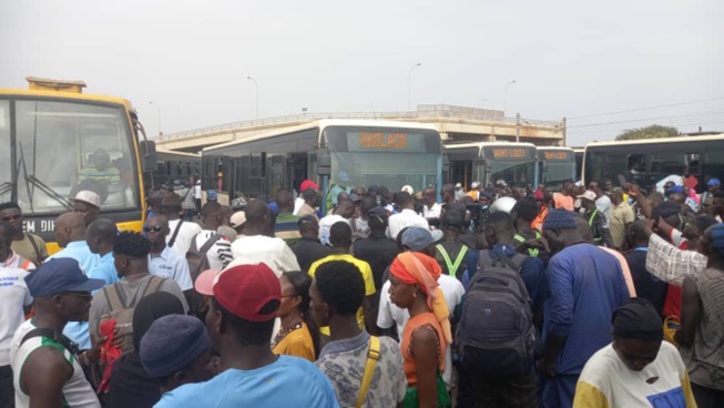 Transport/Tabaski 2024 : El Malick Ndiaye soulage les usagers avec des bus DDD et des tarifs abordables Transport/Tabaski 2024 : El Malick Ndiaye soulage les usagers avec des bus DDD et des tarifs abordables