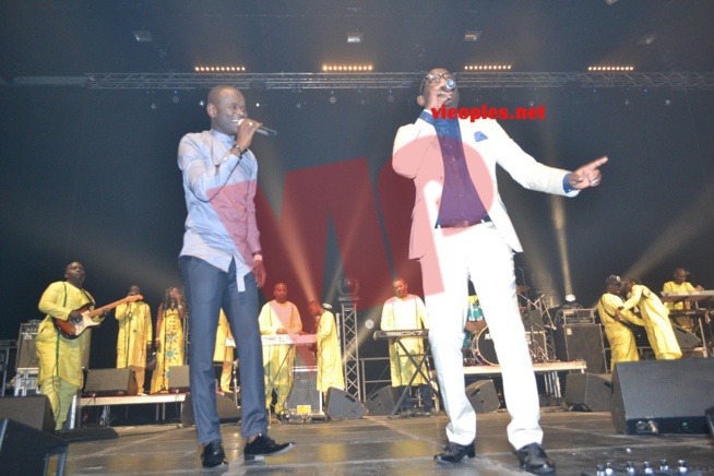 Souvenir: Pape Diouf dans la chaleur des Docks de Pullman, revivez les moments forts du concert et vous donne rendez-vous ce samedi 08 août à la Bodega de Bruxelles Souvenir: Pape Diouf dans la chaleur des Docks de Pullman, revivez les moments forts du concert et vous donne rendez-vous ce samedi 08 août à la Bodega de Bruxelles