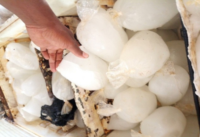 Rigueurs de la forte canicule : Les stocks de glacières s’écoulent rapidement, au marché de Mbour