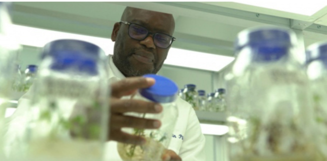 Laboratoire de recherches économiques et monétaires : Le colloque annuel prévu du 20 au 22 novembre prochain, à Dakar et Ziguinchor Laboratoire de recherches économiques et monétaires : Le colloque annuel prévu du 20 au 22 novembre prochain, à Dakar et Ziguinchor