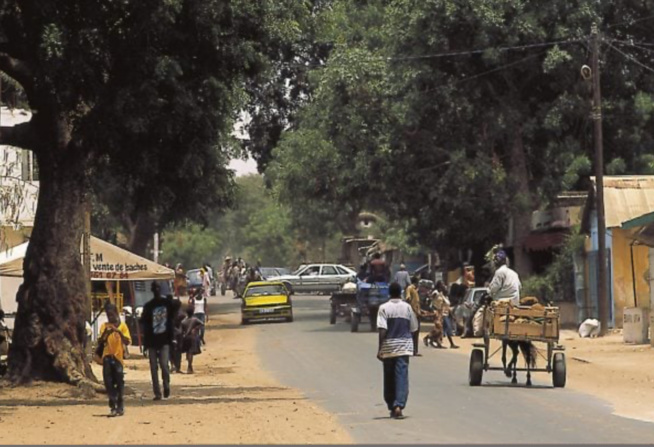 Thiès: Plus de 2 000 femmes ont bénéficié de la Boutique de droit Thiès: Plus de 2 000 femmes ont bénéficié de la Boutique de droit