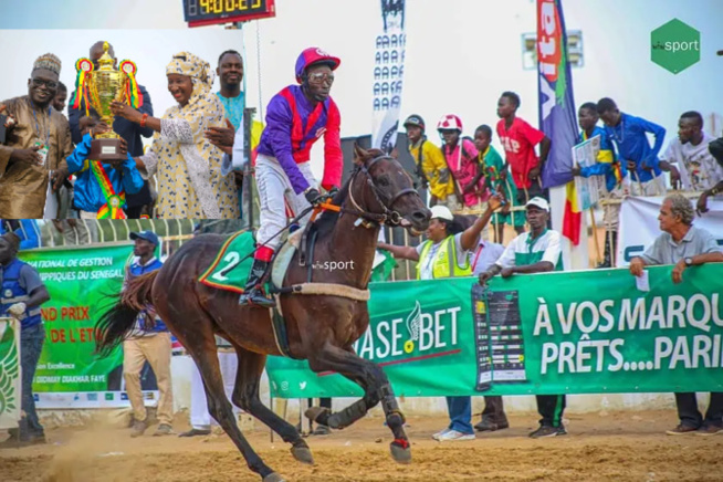 Courses Hippiques – Adjudant plus rapide que l’éclair lors du Grand Prix du Chef de l’Etat ! Courses Hippiques – Adjudant plus rapide que l’éclair lors du Grand Prix du Chef de l’Etat !