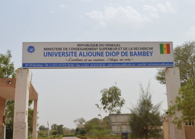 Université Alioune Diop de Bambey : la recrudescence de cas de VIH et de l’hépatite B sème la panique Université Alioune Diop de Bambey : la recrudescence de cas de VIH et de l’hépatite B sème la panique