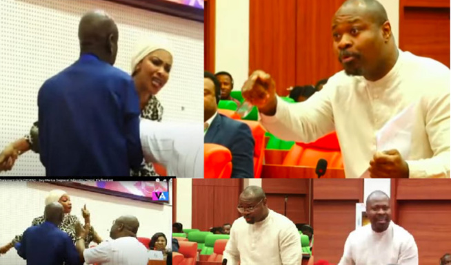 Echauffourées « parlementaires » à Abuja : La CEDEAO condamne les dérives verbales du député Guy Marius Sagna Echauffourées « parlementaires » à Abuja : La CEDEAO condamne les dérives verbales du député Guy Marius Sagna