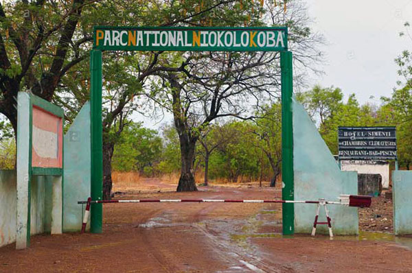 Unesco: Le Sénégal réussit à retirer le Niokolo Koba, du Patrimoine mondial en danger Unesco: Le Sénégal réussit à retirer le Niokolo Koba, du Patrimoine mondial en danger