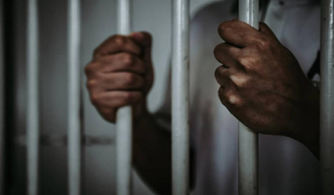 Le cultivateur avait fusillé un berger : Il va séjourner 15 ans en prison Le cultivateur avait fusillé un berger : Il va séjourner 15 ans en prison