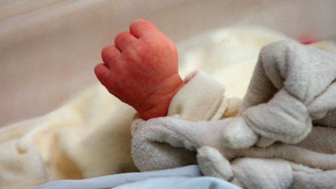 Kolda: Un nouveau-né retrouvé dans un dépotoir d’ordures Kolda: Un nouveau-né retrouvé dans un dépotoir d’ordures