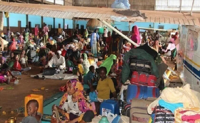 Appui des États-Unis envers l'Afrique subsaharienne : Une aide humanitaire de plus de 38 milliards FCFA en soutien aux réfugiés et populations vulnérables Appui des États-Unis envers l'Afrique subsaharienne : Une aide humanitaire de plus de 38 milliards FCFA en soutien aux réfugiés et populations vulnérables