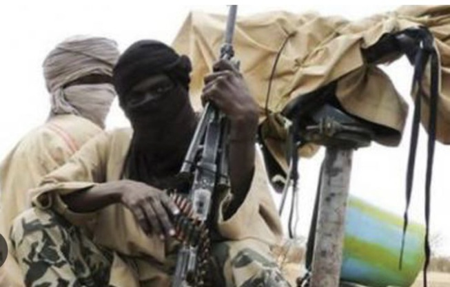 Cameroun : Boko Haram frappe à nouveau l’Extrême-Nord Cameroun : Boko Haram frappe à nouveau l’Extrême-Nord