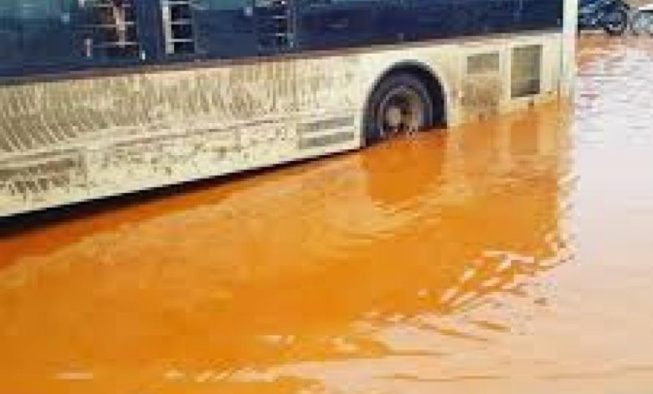 Dakar Dem Dikk : Des départs temporairement suspendus à cause de la pluie Dakar Dem Dikk : Des départs temporairement suspendus à cause de la pluie