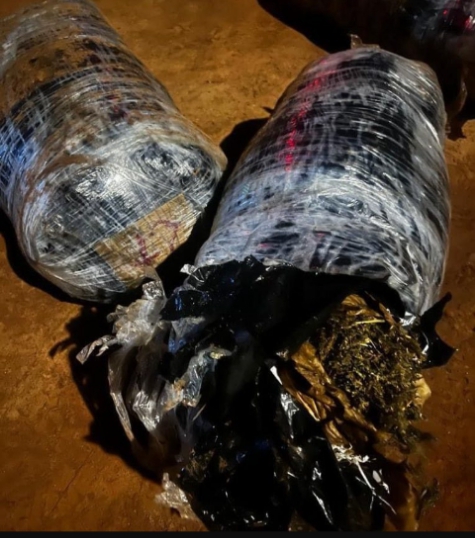 À Joal : Grande saisie de 155 kg de chanvre indien par la Gendarmerie À Joal : Grande saisie de 155 kg de chanvre indien par la Gendarmerie