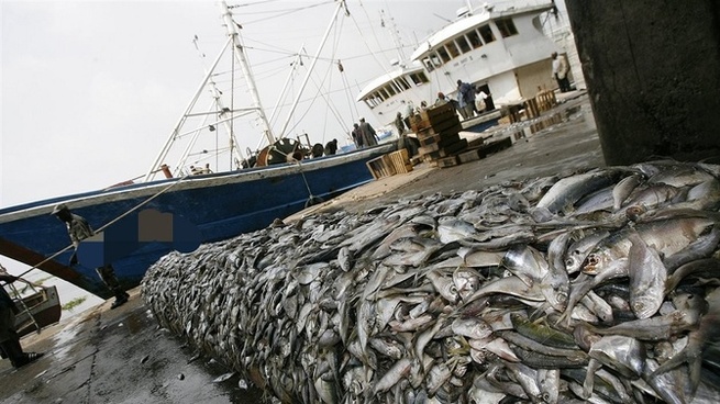 CES GOULOTS QUI ETRANGLENT LE SECTEUR DE LA PECHE CES GOULOTS QUI ETRANGLENT LE SECTEUR DE LA PECHE