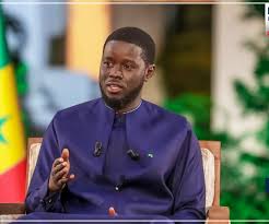 Dak’art 2024 : Bassirou Diomaye Faye va présider la cérémonie officielle d’ouverture de la 15e édition Dak’art 2024 : Bassirou Diomaye Faye va présider la cérémonie officielle d’ouverture de la 15e édition