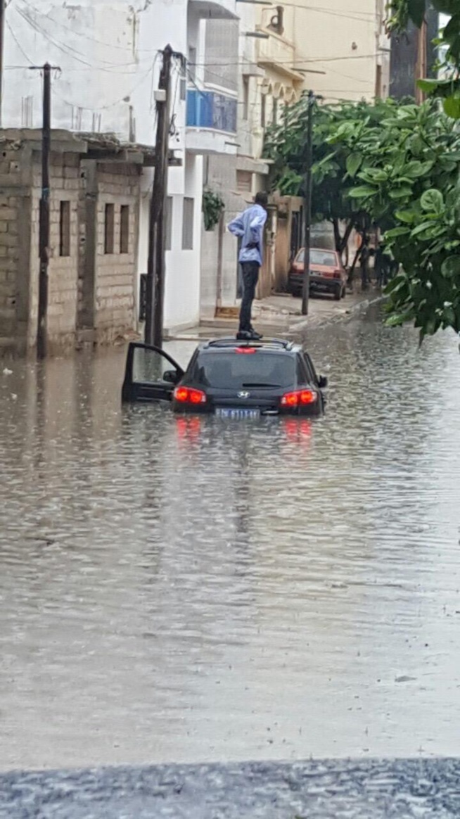 Arrêt sur images : No comment ! Arrêt sur images : No comment !