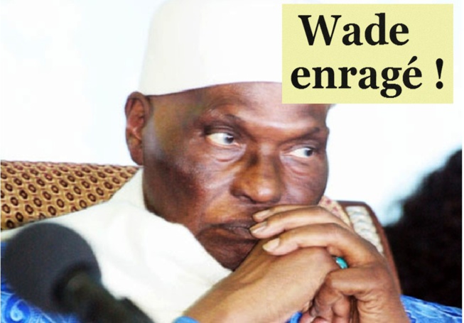 Me Wade s'en prend à ses lieutenants: "Si vous m'aviez suivi, Fada n'aurait jamais eu cette occasion" Me Wade s'en prend à ses lieutenants: "Si vous m'aviez suivi, Fada n'aurait jamais eu cette occasion"