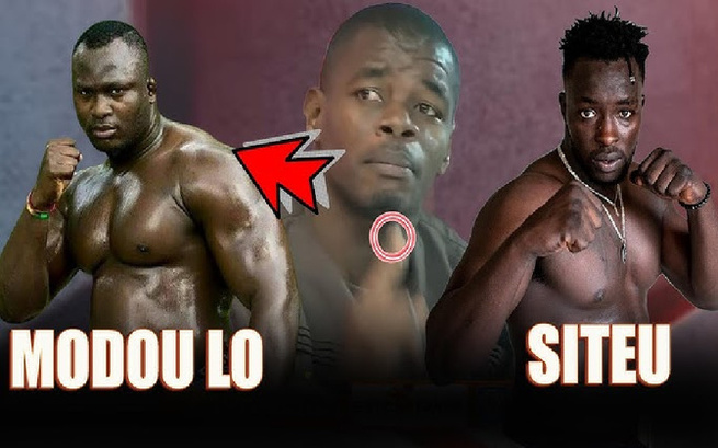 Lutte- Modou Lô et Siteu, c’est demain : une confrontation sous haute tension Lutte- Modou Lô et Siteu, c’est demain : une confrontation sous haute tension