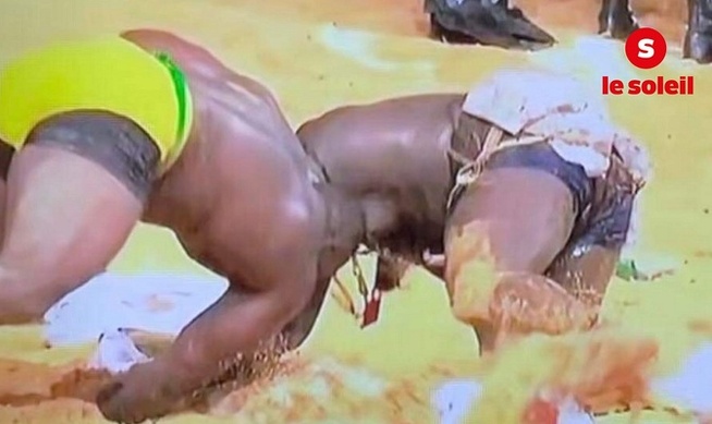Lutte- Modou Lô-Siteu : Combat royal, une victoire, deux recours Lutte- Modou Lô-Siteu : Combat royal, une victoire, deux recours