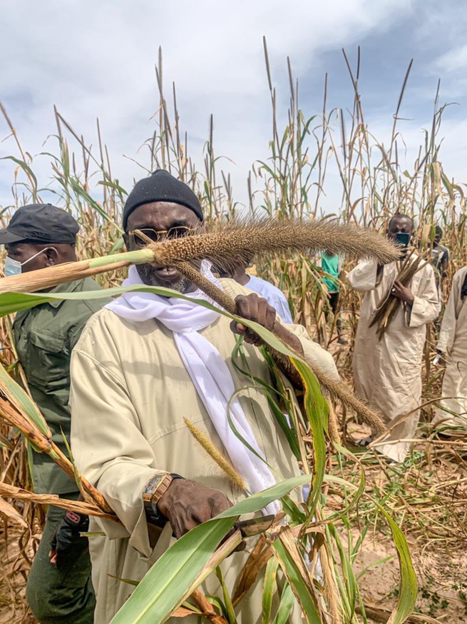 Tribunal de Dakar : Serigne Abo Mbacké, fils de Serigne Cheikh Saliou, au chevet de Samuel Sarr Tribunal de Dakar : Serigne Abo Mbacké, fils de Serigne Cheikh Saliou, au chevet de Samuel Sarr