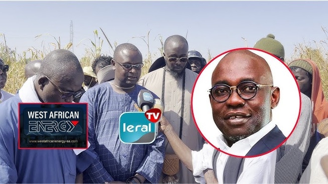 Lagane 2024 : Malick Niass, ingénieur en énergie, fait des révélations percutantes sur le projet de Samuel SARR Lagane 2024 : Malick Niass, ingénieur en énergie, fait des révélations percutantes sur le projet de Samuel SARR