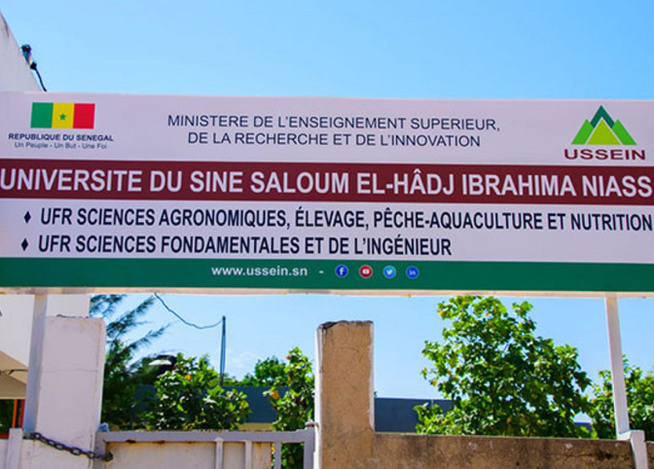 L’université El hadj Ibrahima Niass face aux multiples problèmes : L’intersyndicale du CROUS Sine-Saloum sort ses griffes