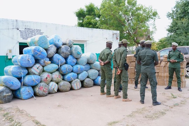 Senegal : Les unités de douanes interceptent d’importantes quantités de chanvre indien et de faux médicaments